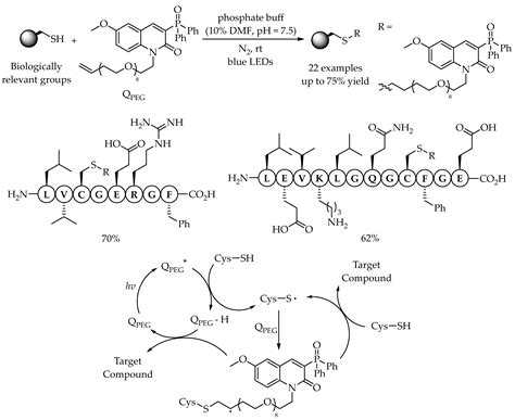 Recent Advances in Visible-Light Photoredox Catalysis for the Thiol-Ene ...