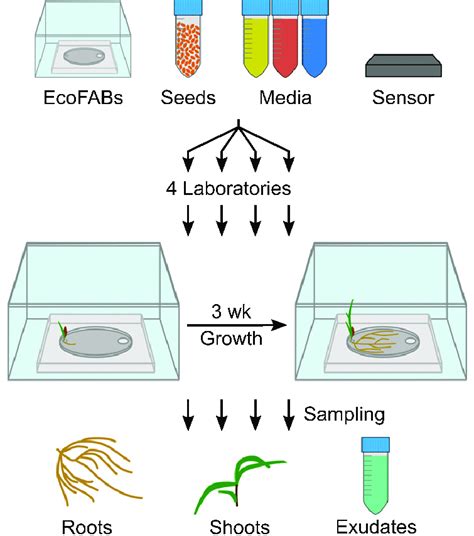 Reproducibility 的图像结果