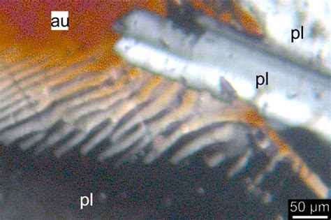 Material resources program. 2024-2025. BMZ, Germany. (Co-PI: Prof. T.G ...