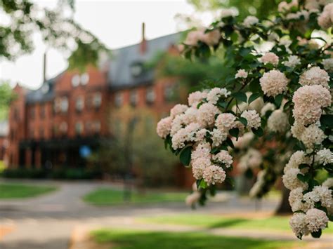 Academic Calendar - Mount Holyoke College Events