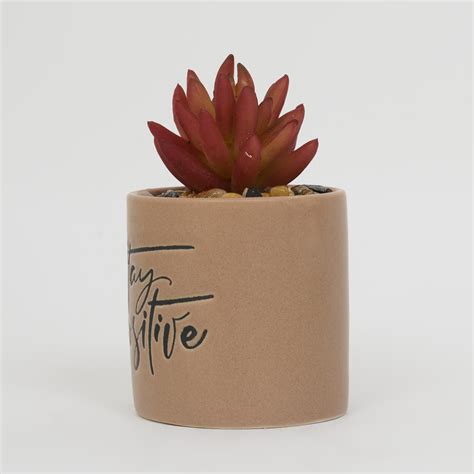 Buy Garnet Garden Artificial Succulent in Ceramic Planter from Home ...