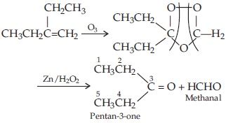 NCERT Solutions for Class 11 Chemistry Chapter 13 Hydrocarbons