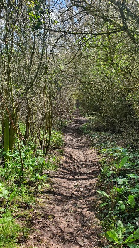 Running Shirtless, is it acceptable? : r/trailrunning