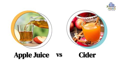 Apple Cider vs. Apple Juice: Key Differences & Drink Ideas for Each