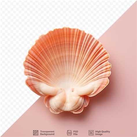 Image result for Linux Shell White Background