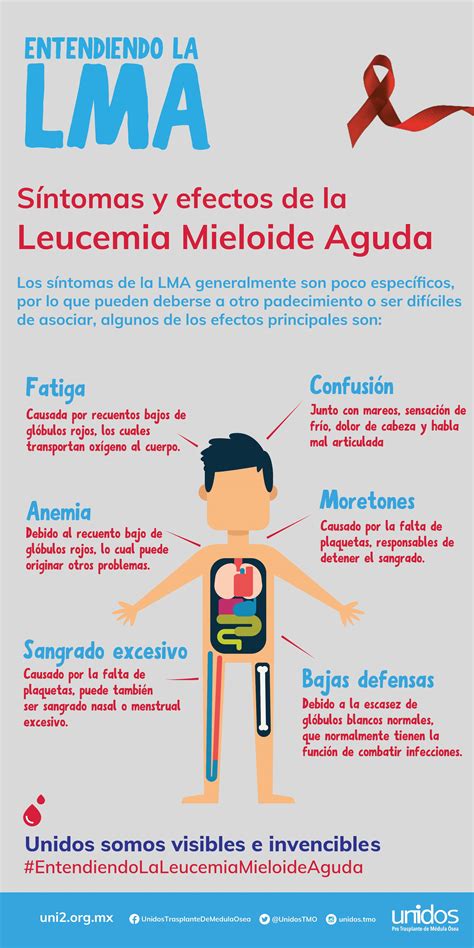 Sintomas De Leucemia