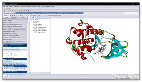 分子模拟软件Discovery Studio教程(十六)：化合物毒理性质的预测 - 知乎