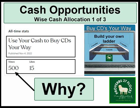 101z cash opportunities for players,In recent years