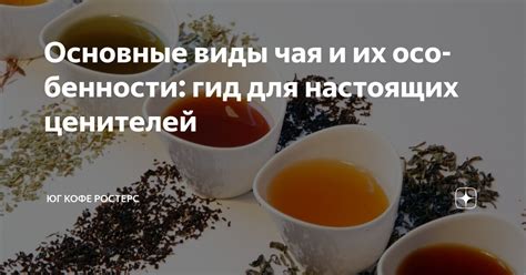 Основные виды чая и их особенности: гид для настоящих ценителей | Юг ...