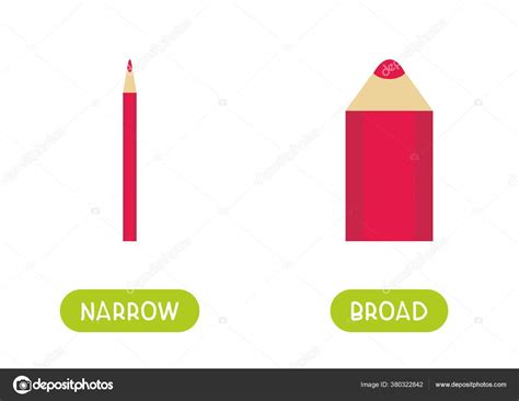 Narrow Broad Antonyms Word Card Flat Vector Template Flashcard English ...