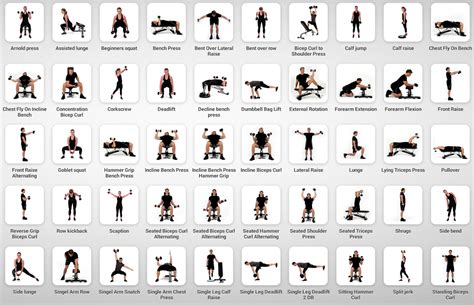 gym workout using dumbbells