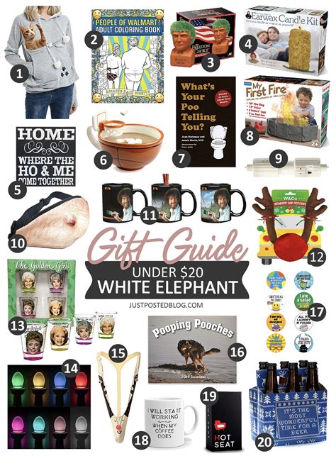 20 Under $20 White Elephant Gift Ideas from Amazon! Some great gag ...