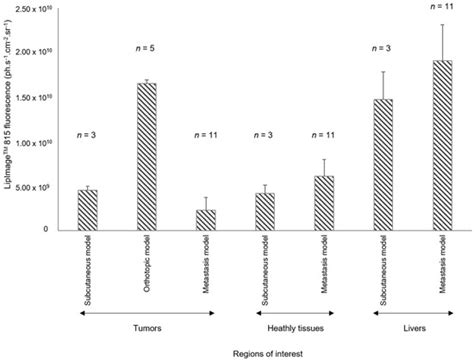 In Vivo Imaging of Prostate Cancer Tumors and Metastasis Using Non ...