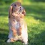 Image result for Bunny Cute Pichers