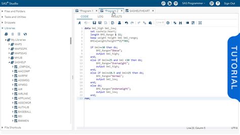 Image result for Using SAS Tutorial