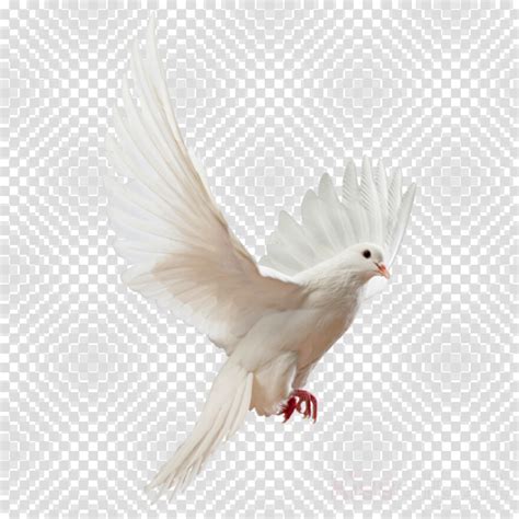 Peace Dove, Peace Sign Emoji, Peace, Dove, Peace Emoji, White Dove ...