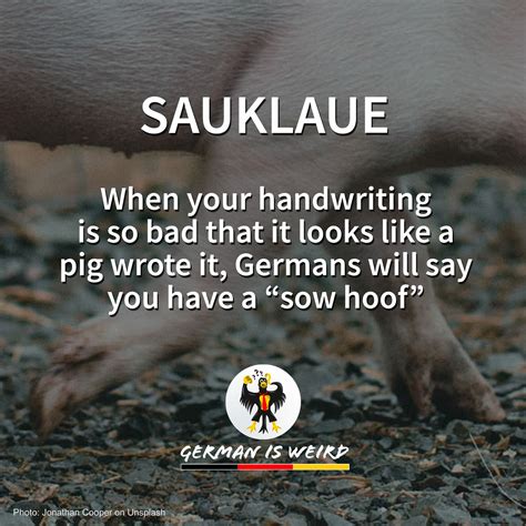 German is Weird - Sauklaue - Funny German words