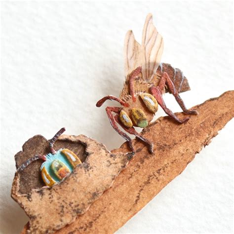 Dawson's Burrowing Bee – The Paper Ark