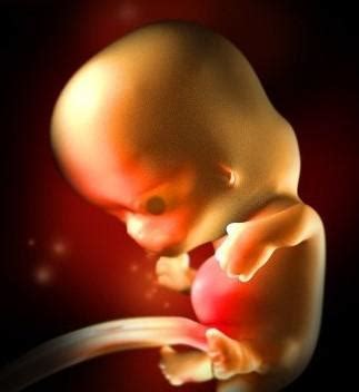 孕3~9周是胎儿“畸形危险期”，妈妈做到“7不要”，保护胎宝健康 - 知乎