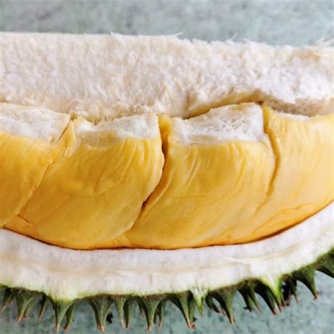 Durian - D101 Hybrid - Fruit Plant – M-Tech Gardens