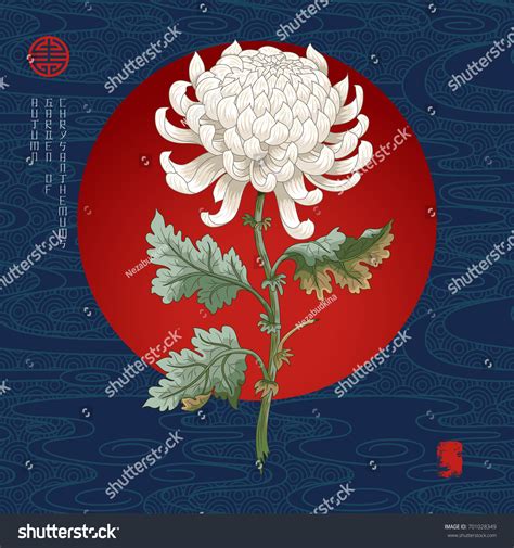 Chrysanthemum In Japanese Symbol at Stuart Witt blog