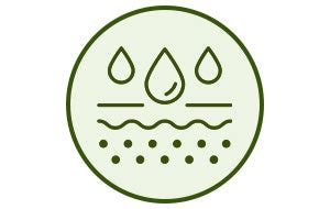 Indus Valley Pure Aloe Vera Gel For Face, Hair and Skin