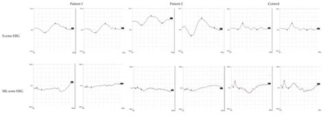 Diagnostics | Special Issue : Structure-Function Relationship in ...