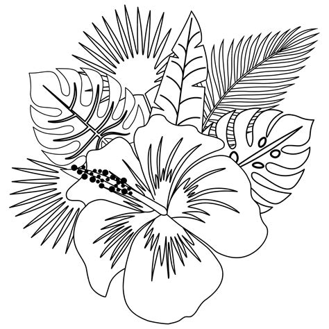 Drawing Hawaiian Flowers | Best Flower Site