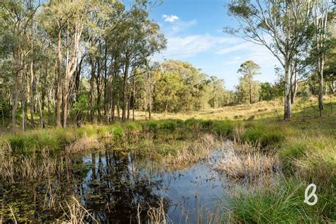 2092 Putty Road, Bulga NSW 2330 - Vacant Land for Sale | Domain