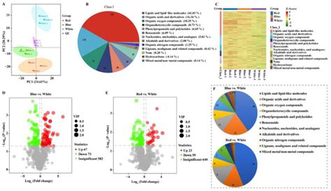 Transcriptomic and Metabolomic Analysis Reveal the Effects of Light ...