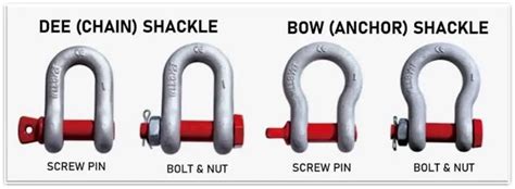 Bow Shackle - 50mm Crosby Type Bow Shackles Manufacturer from Mumbai