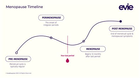What Is Perimenopause? Age, Symptoms, Treatment & More – Evie