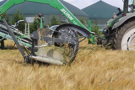 Getreideflieger | agrarheute.com