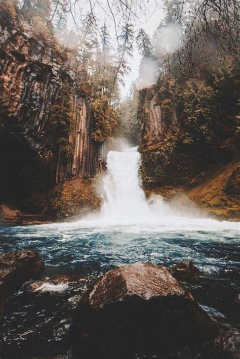 ʀᴏʟᴇᴘʟᴀʏ ᴛᴇᴍᴘʟᴇᴛᴇ | Wiki | Animal Roleplay Amino Amino