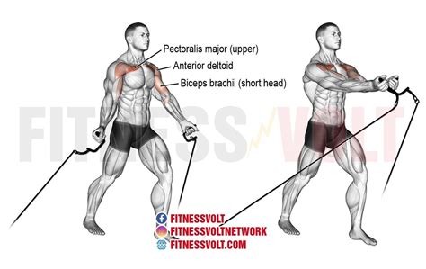 Image result for Hand Crossover Exercise