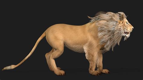 Lion-A1-Animated 3D Animation by Animated3d
