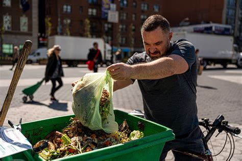 How to Compost in NYC: A Guide | THE CITY — NYC News