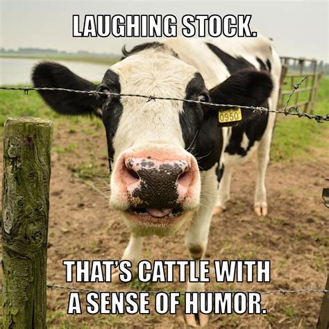 15 Great Farming Memes that say exactly what's on your mind | AGDAILY ...
