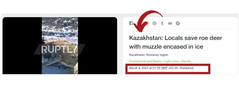 Video Of Man Rescuing A Deer With Frozen Snout Is From Kazakhstan