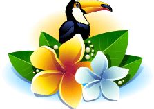flats & apartments in greater noida west | Coco County