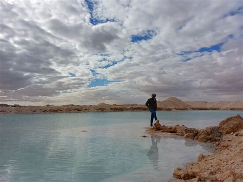 Unforgettable trip 👍😍 - Reviews, Photos - Tamazight Siwa - Tripadvisor