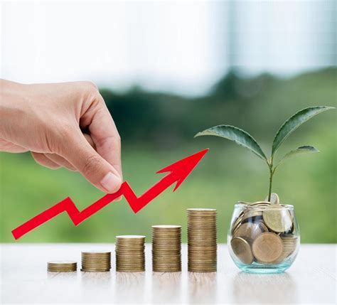 Money cure,Best stock tipe