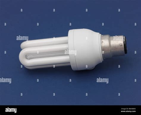 Compact Fluorescent Light Bulb Def at Adolph Grier blog