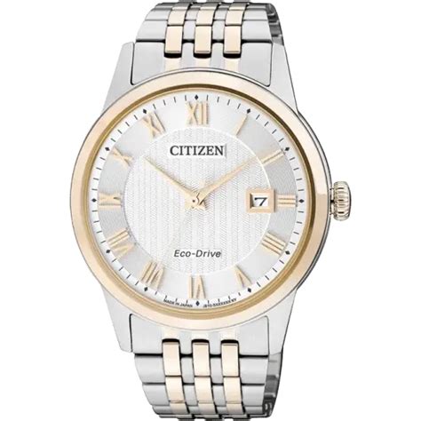 Citizen AW1234-50A Men Watch – The Watch Factory