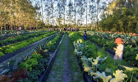 Indiantown Tourism (2023): Best of Indiantown, FL - Tripadvisor