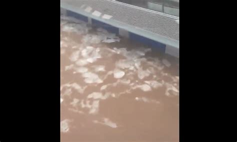 El Circuito de Jerez, totalmente inundado por la DANA que golpea a ...