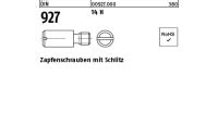 DIN 927 Zapfenschrauben, 14 H M 3 x 6