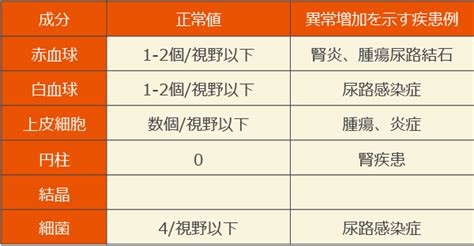 尿検査 | 看護師・看護学生の用語辞典 | 看護roo![カンゴルー]