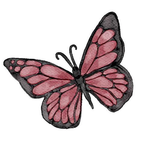Watercolor Paper Texture White Transparent, Watercolor Butterfly With ...