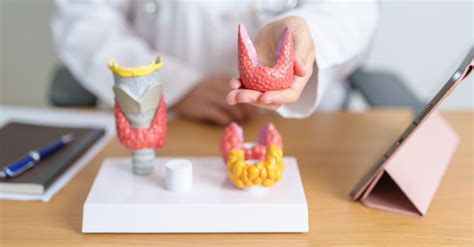Hypothyroidism (Underactive Thyroid): Everything You Need to Know ...